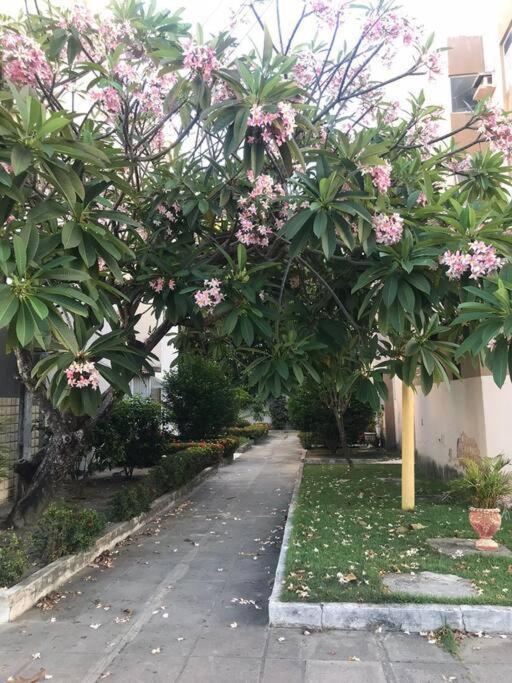 Apartamento Beira-mar, Passeio Ou Office Ate 8 Hospedes, Economia, E Aqui
